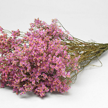 Limonium 60cm Lichtroze