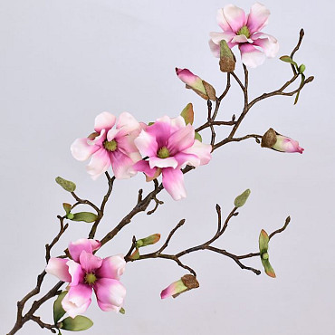 Tige de Magnolia Blanc-Rose 78cm