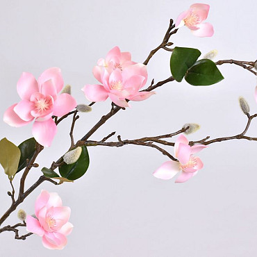 Magnoliatak 90cm Roze