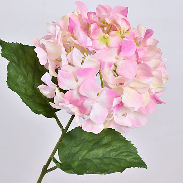 Hydrangea 68cm licht Pink