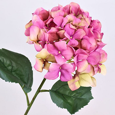 Hydrangea 68cm Pink