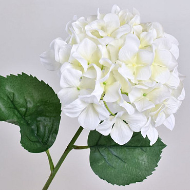 Hortensia 68cm Blanc