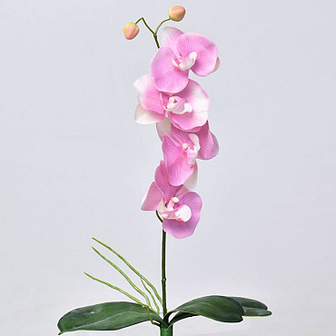 Orchidée Papillon Rose 44cm