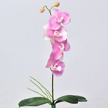 Phalaenopsis Pink 44cm