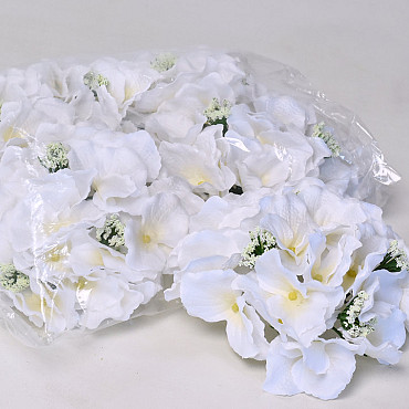 Hortensia Kop D18cm Wit