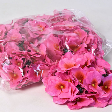 Hortensia Kop D18cm Fuchsia