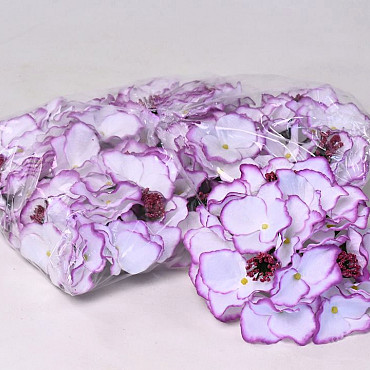 Hortensia D18cm Wit-Paars