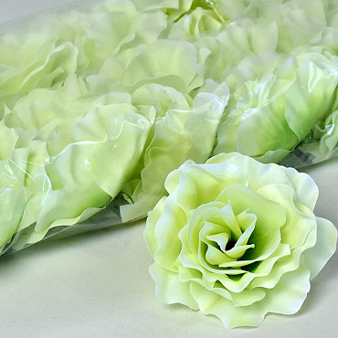 Rose D10cm Vert