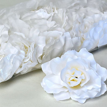 Rose D10cm Blanc