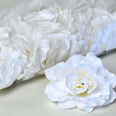 Rose D10cm White
