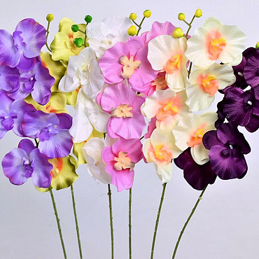 Orchidée Papillon Mix 70cm