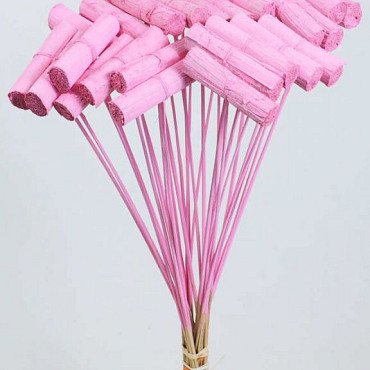 Banana Bundle sur Tige rose
