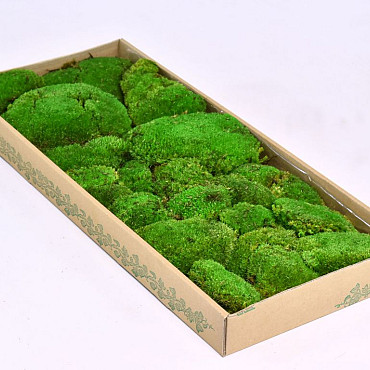 Boule de mousse vert (tray 66x26cm)