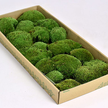 Cushion Moss forest green (tray 66x26cm)