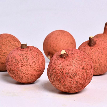 Melon Grand Rouge 7-9cm