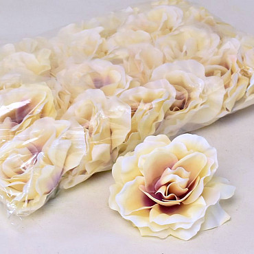 Rose D10cm Creme/Pourpre