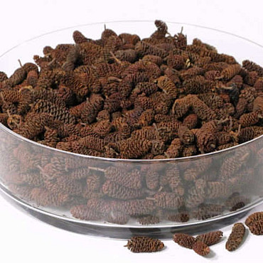 Elzenproppen 500gr.