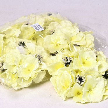 Hortensia Kop Geel D18cm