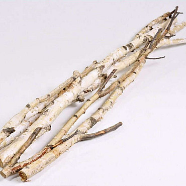 Birch Trunk 1m