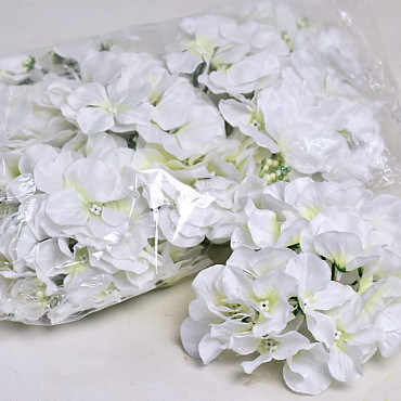 Hortensia Kop D14cm Wit