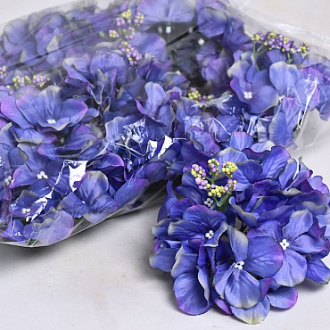 Hortensia Kop D14cm Blauw/Paars