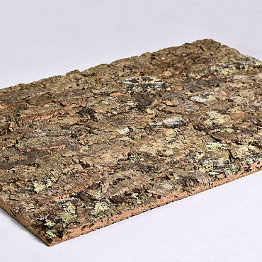 Cork Panel 60x90cm