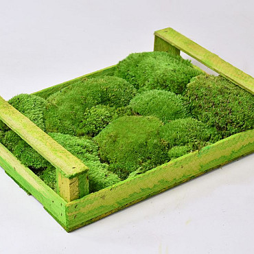 Cushion Moss light green (Crate 37x28cm)