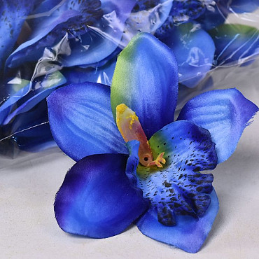 Orchidée Bleu D14cm