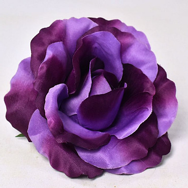 Rose D13cm Purple