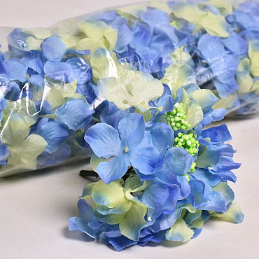 Hortensia Kop D14cm Blauw/Paars