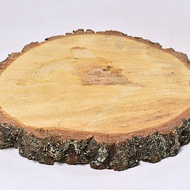 Birch Slice 33-37cm