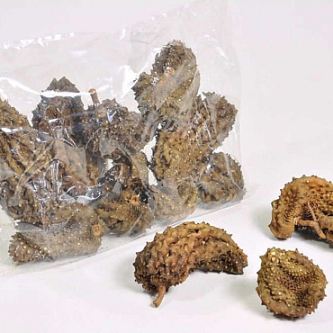 Crocodile Fruit 5-15cm