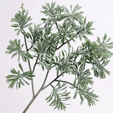 Artemisia Branch 45cm