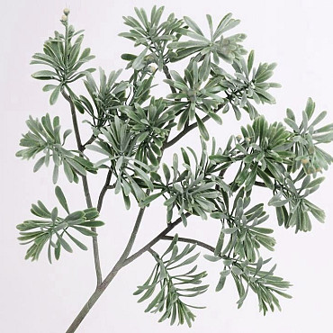 Artemisia Zweig 45cm