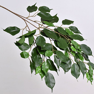 Ficus Exotica Branch 77cm