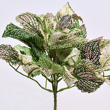 Kunst Fittonia Plant 25cm groen