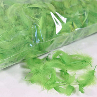 Feathers Green 100gr.