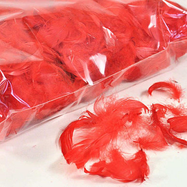 Federn Rot 100gr.
