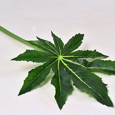 Leaf Aralia D25cm L55cm