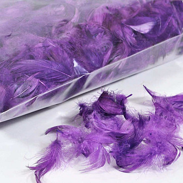 Feathers Purple 100gr.