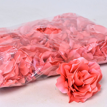 Rose D10cm Coral