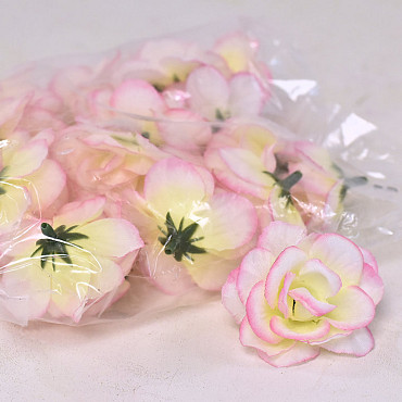 Mini Rose Pink D5cm