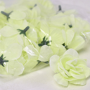 Mini Rose D5cm Creme