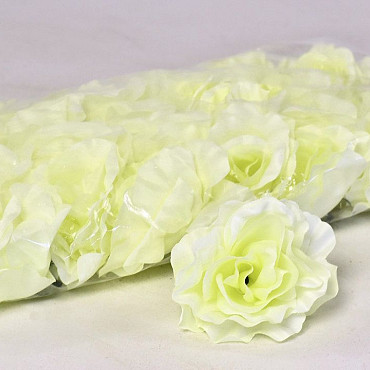 Rose D10cm Cream