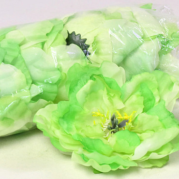 Pivoine D13cm Vert Clair