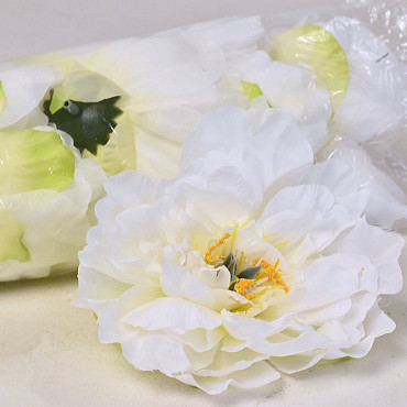 Peony D13cm White