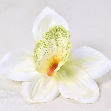 Orchid D14cm Cream