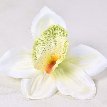 Orchidée D14cm Crème