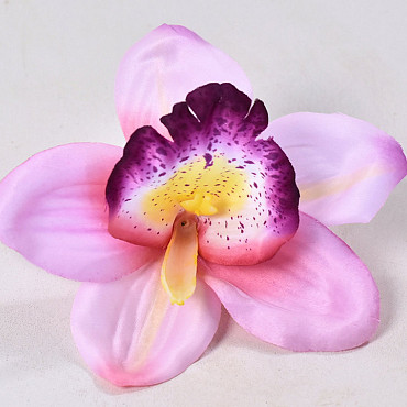 Orchid D14cm Pink