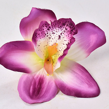 Orchid Purple D14cm
